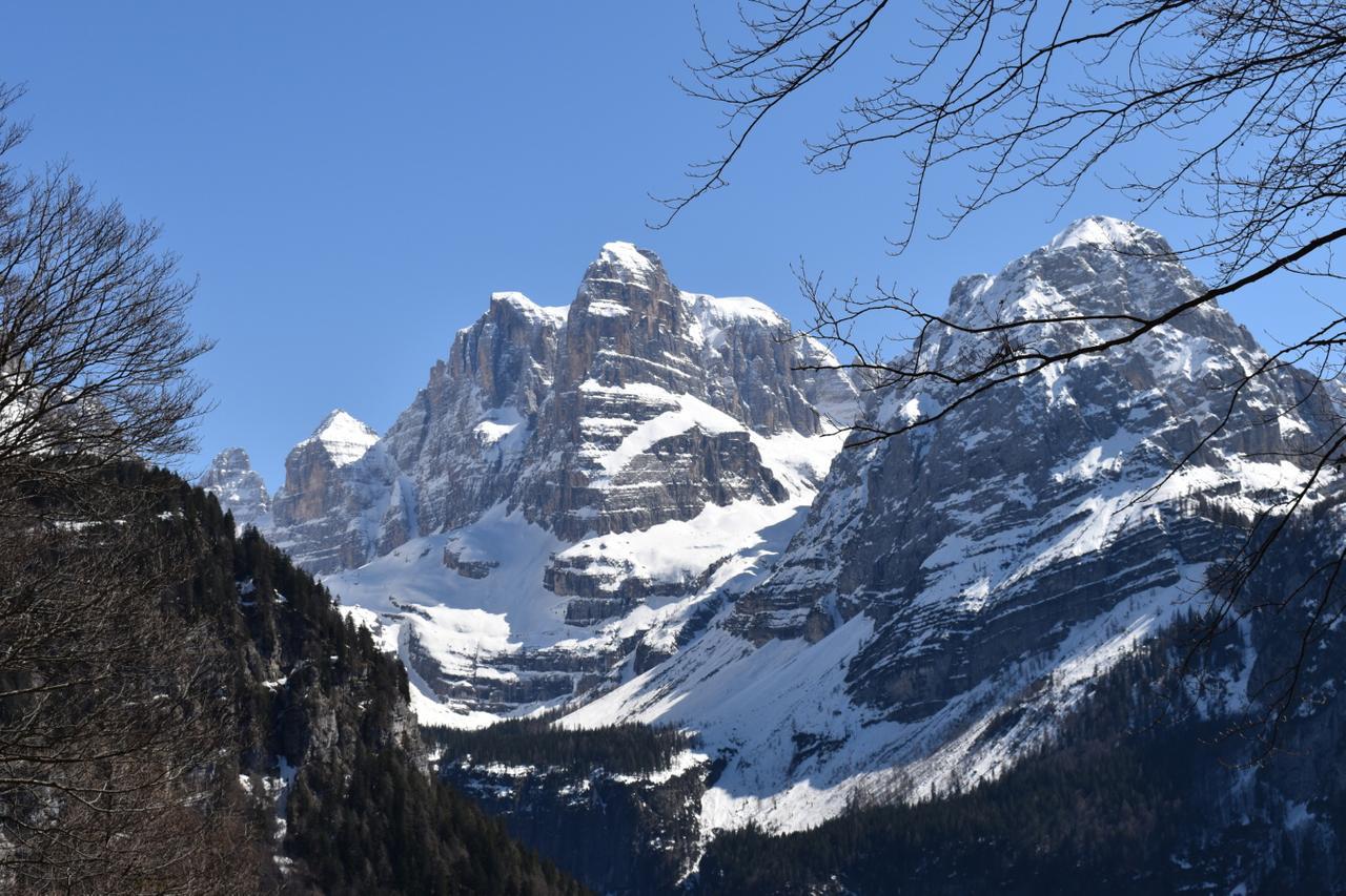 Chalet Brenta Dolomites Madonna di Campiglio Exterior photo