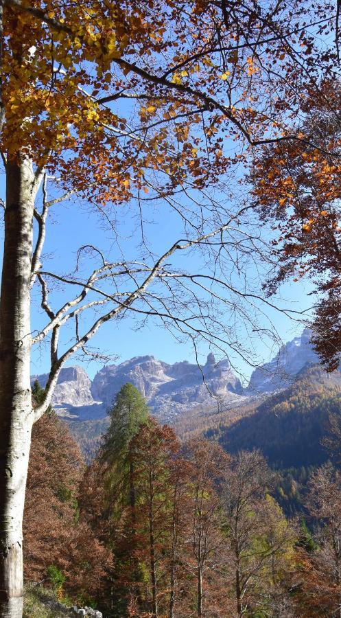 Chalet Brenta Dolomites Madonna di Campiglio Exterior photo
